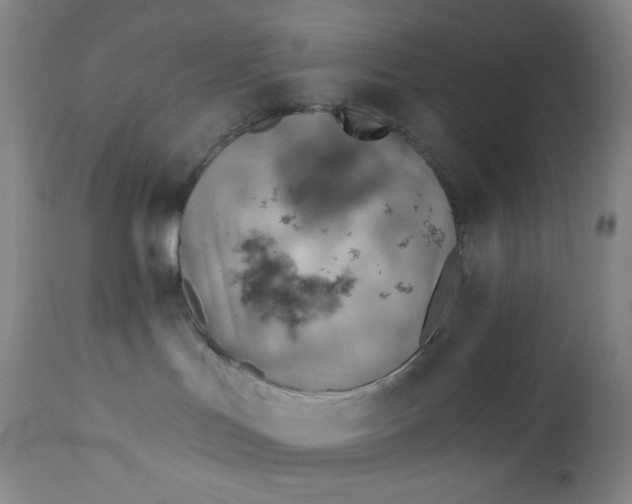 X0000112920047200909080944