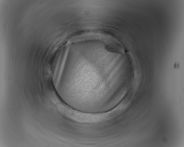 X0000112920048200909080944