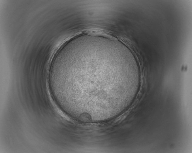 X0000112920049200909080943