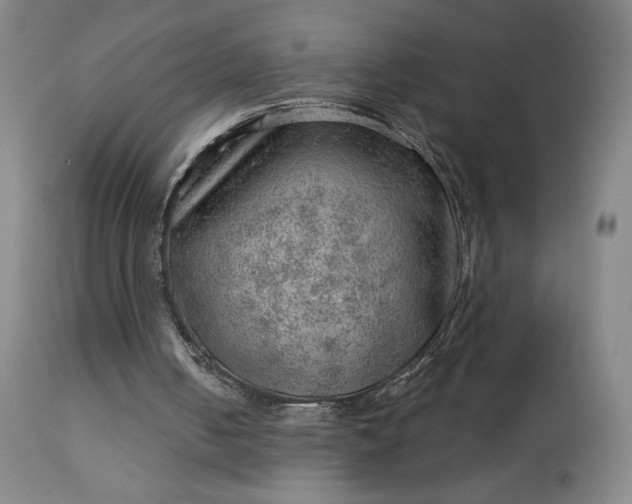X0000112920050200909080943