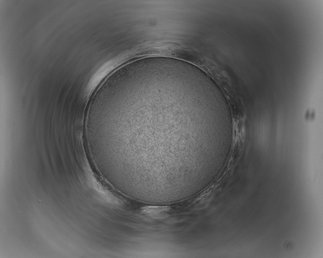 X0000112920051200909080943