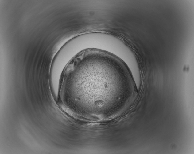 X0000112920052200909080943