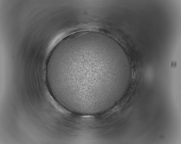 X0000112920053200909080943