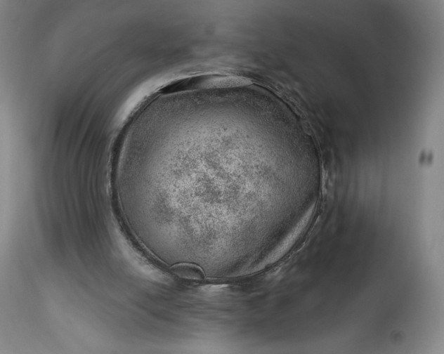 X0000112920054200909080943