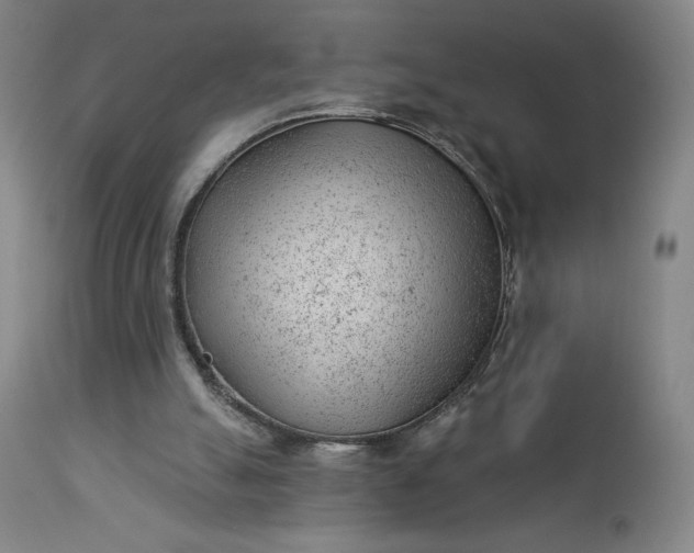 X0000112920055200909080943
