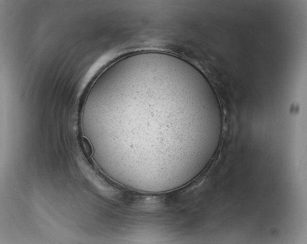 X0000112920056200909080943