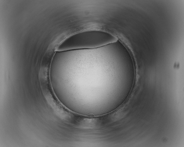 X0000112920057200909080943