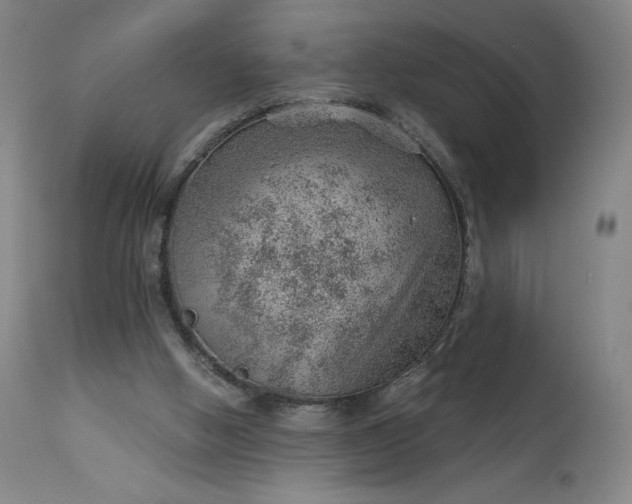 X0000112920058200909080943