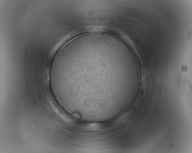 X0000112920059200909080943