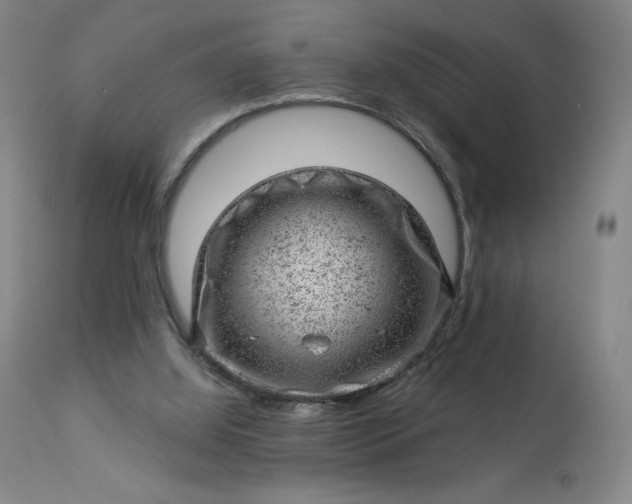 X0000112920060200909080943