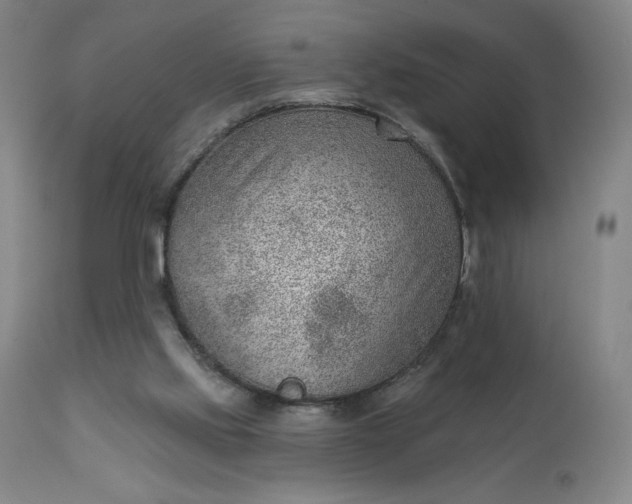 X0000112920061200909080943