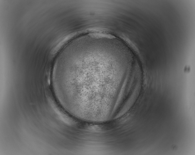 X0000112920062200909080943