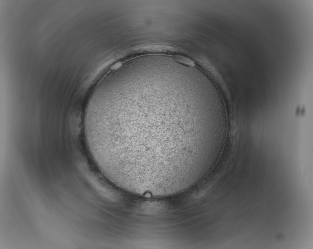 X0000112920063200909080943