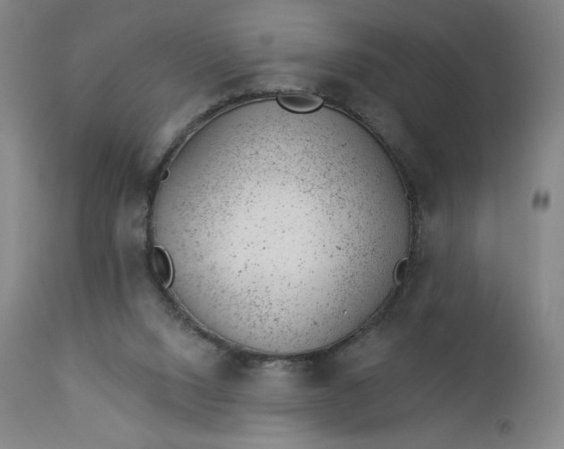 X0000112920064200909080943