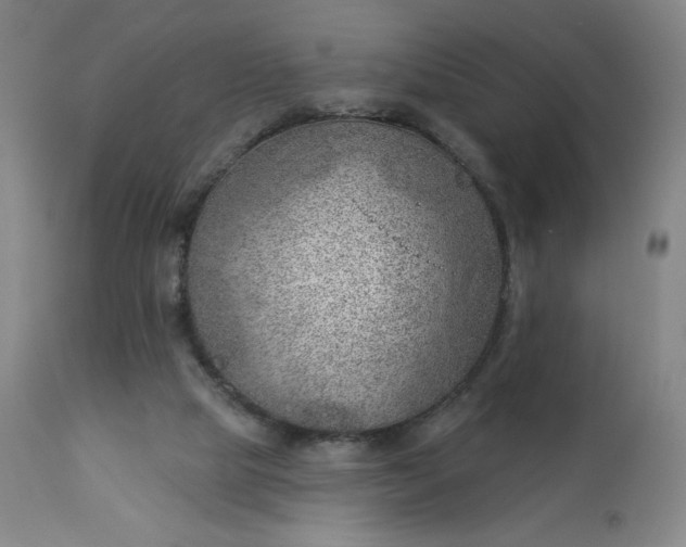 X0000112920065200909080943