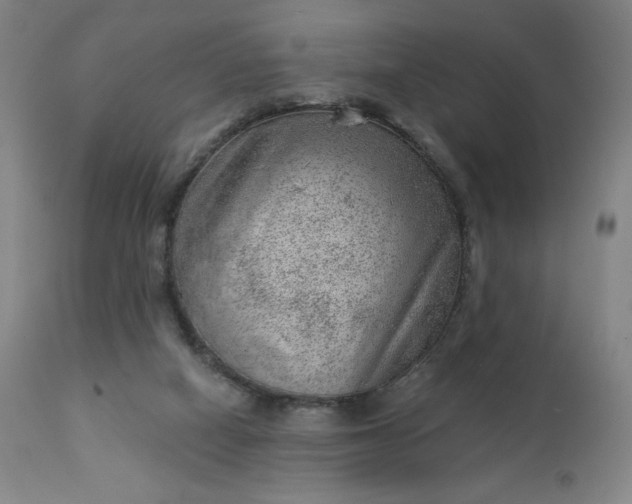 X0000112920066200909080943