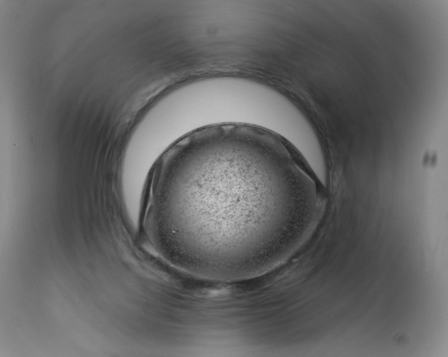 X0000112920068200909080943