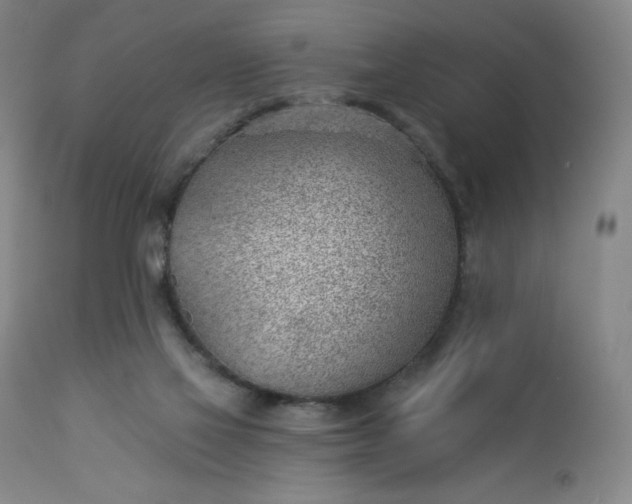 X0000112920069200909080943