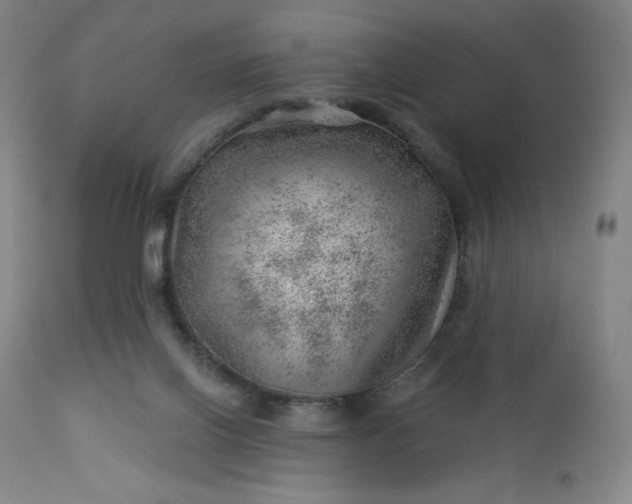 X0000112920070200909080943