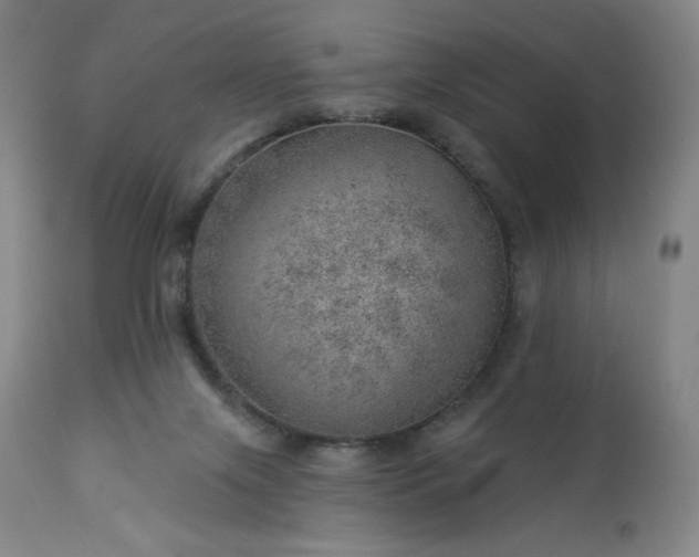 X0000112920071200909080943