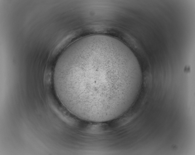 X0000112920072200909080943