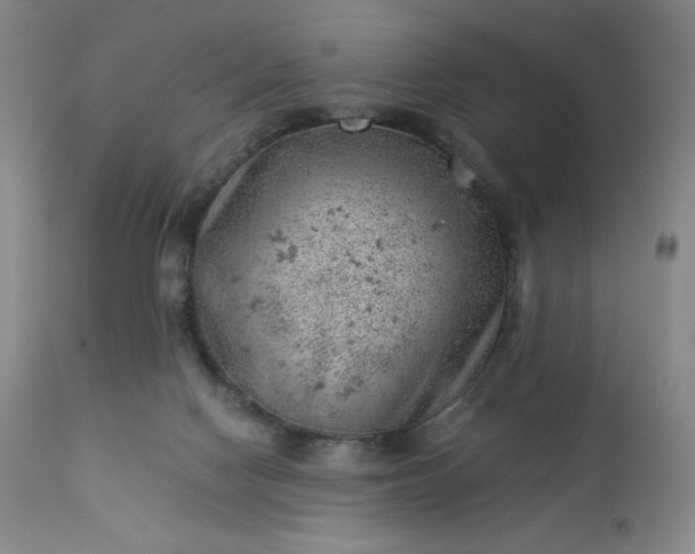 X0000112920074200909080943