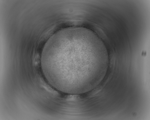 X0000112920077200909080943