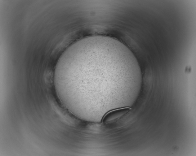 X0000112920079200909080943