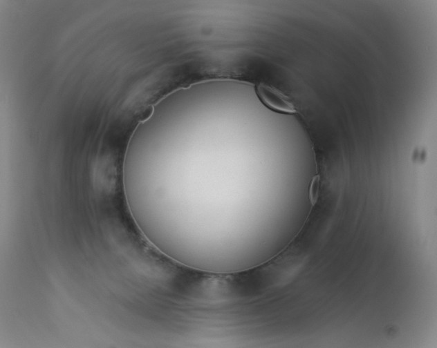 X0000112920080200909080944