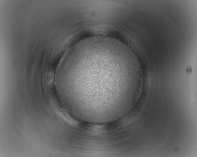 X0000112920081200909080944