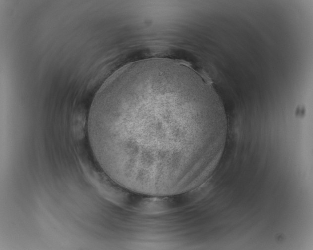 X0000112920082200909080944