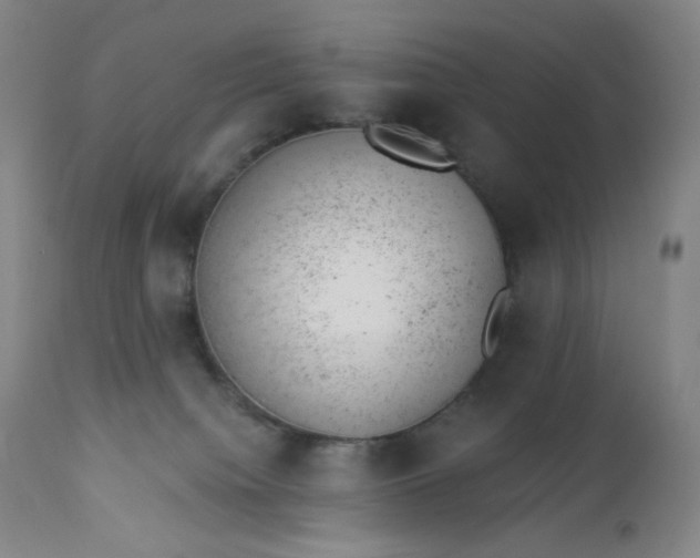 X0000112920084200909080944