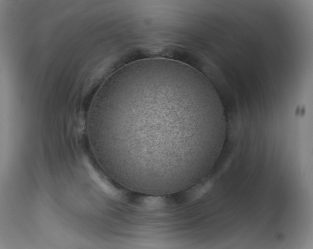 X0000112920085200909080944