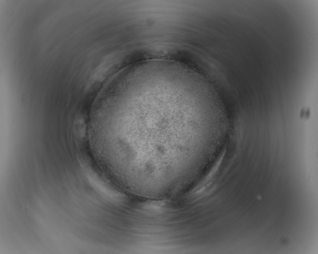X0000112920086200909080944