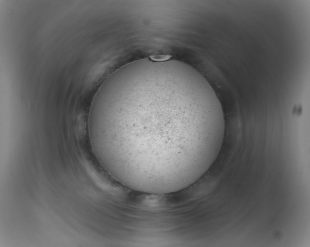 X0000112920088200909080944
