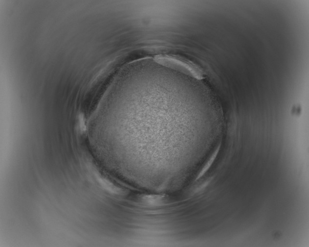 X0000112920089200909080944