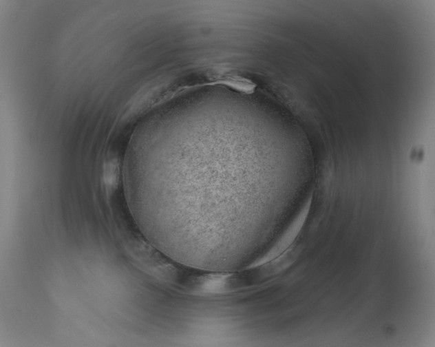 X0000112920090200909080944