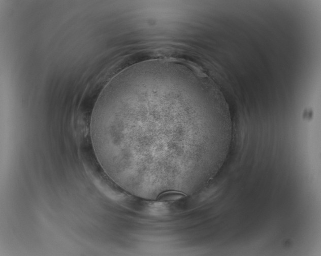 X0000112920091200909080944