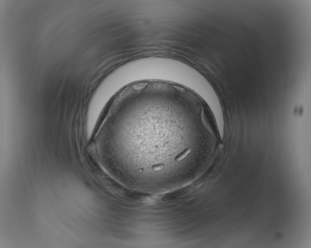 X0000112920092200909080944