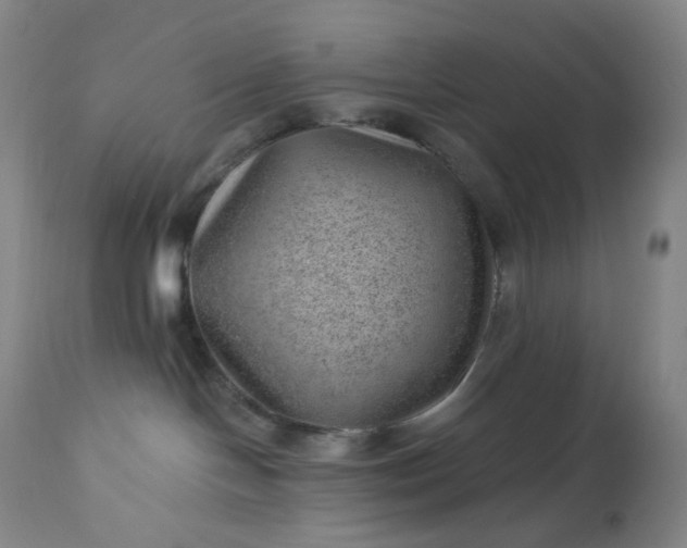 X0000112920094200909080944