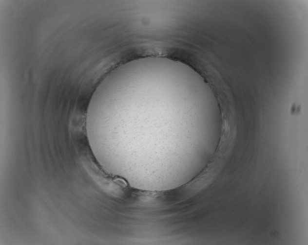 X0000112920096200909080944