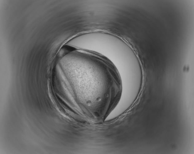X0000112920097200909080943