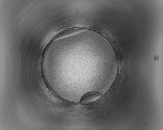 X0000112920098200909080943