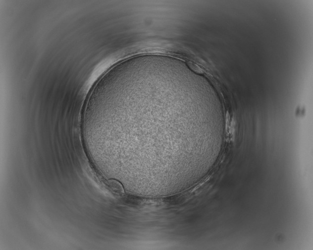 X0000112920099200909080943