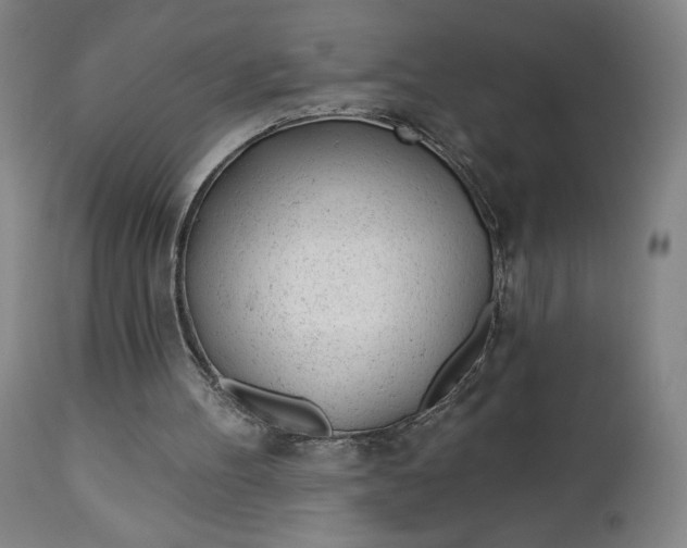 X0000112920100200909080943