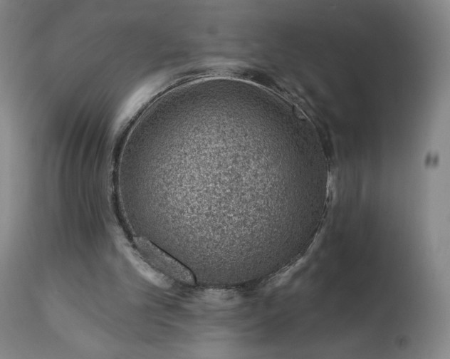 X0000112920101200909080943