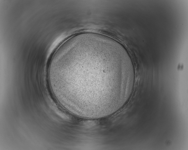 X0000112920102200909080943