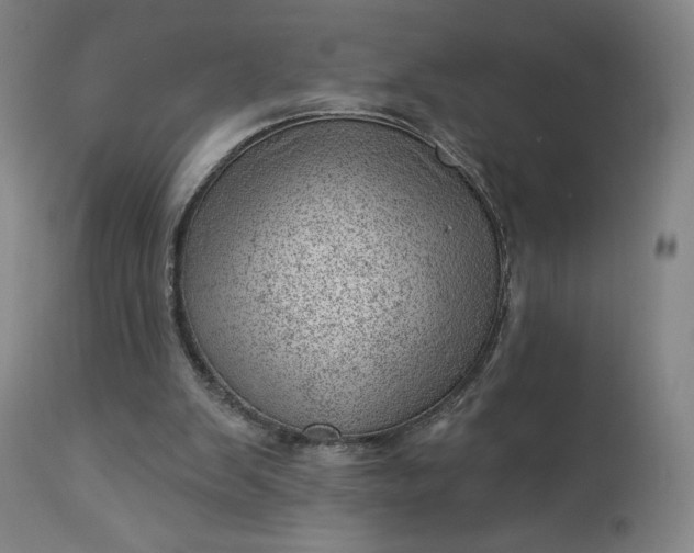 X0000112920103200909080943