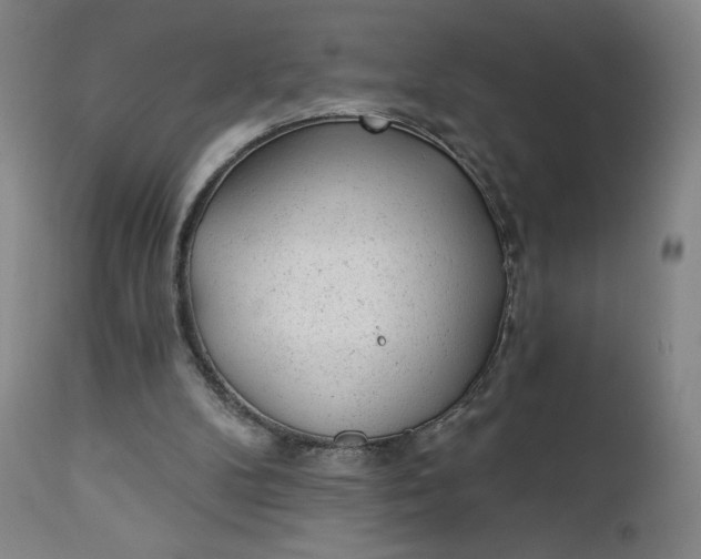 X0000112920104200909080943