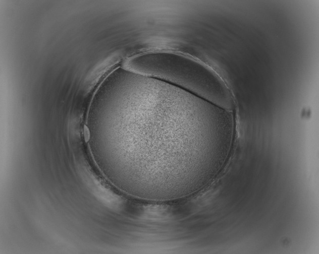 X0000112920105200909080943